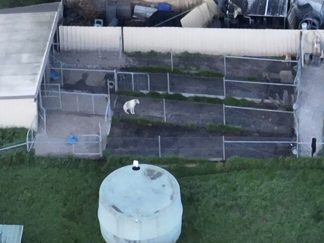 Drone footage captured at an Exeter property owned by controversial greyhound trainer Anthony Bullock. Picture: Facebook