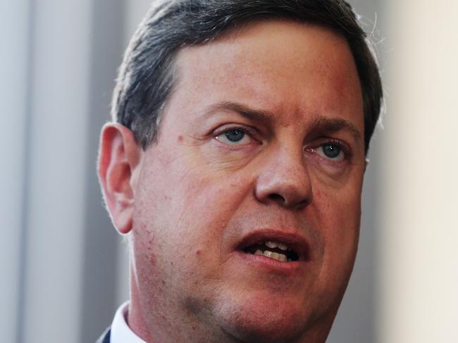 Treasurer Tim Nicholls press Conference at the front of the Executive Building. Pic Mark Calleja