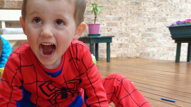 William Tyrrell was wearing a Spider-man costume when he went missing.