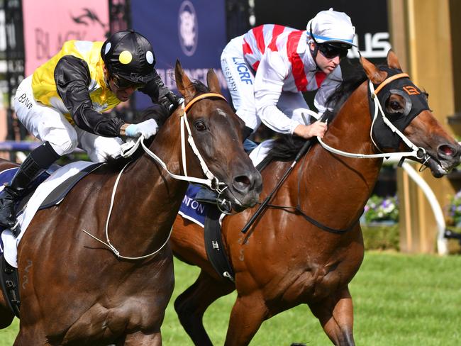 In Her Time struggled in the heavy conditions in last year’s Everest but given the right conditions she is easily among the top sprinters in the land.