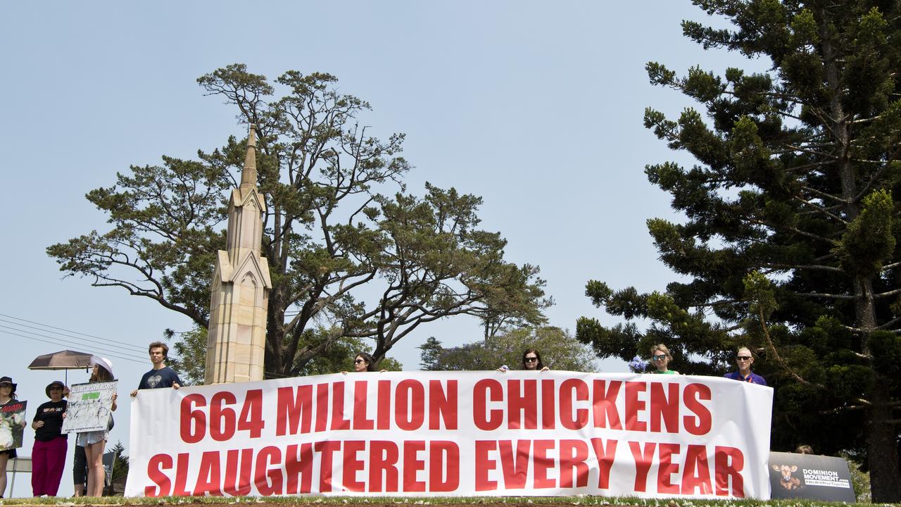 Vegan activists hold a public awareness vigil at the site of a truck crash that killed chickens, Saturday, November 23, 2019. Picture: Kevin Farmer