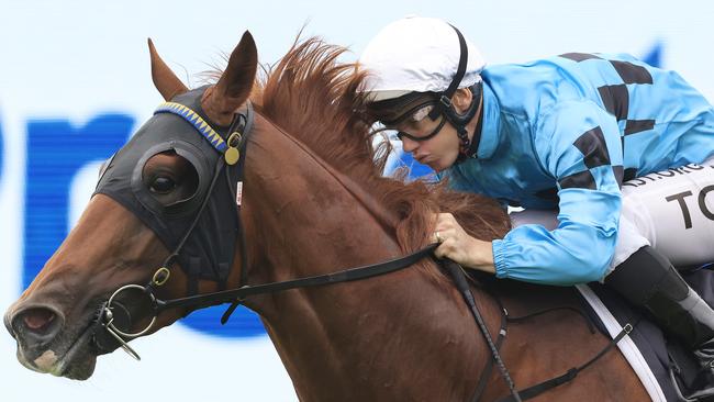 Ellsberg will be chasing back-to-back wins on Saturday. Picture: Getty Images