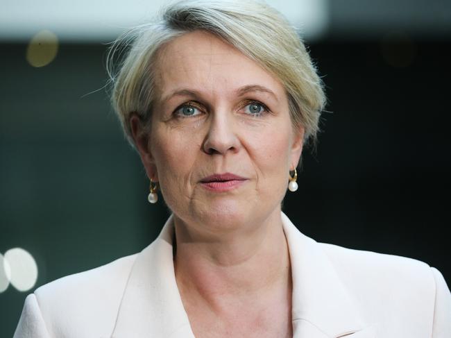 SYDNEY, AUSTRALIA : NewsWire Photos- AUGUST 28 2024; Tanya Plibersek MP Ã Minister for the Environment and Water addresses the media in a press conference after a tour through the Newscorp printing facility in Sydney recognising News Publishing media industry for recycling leadership.  Picture: NewsWire / Gaye Gerard