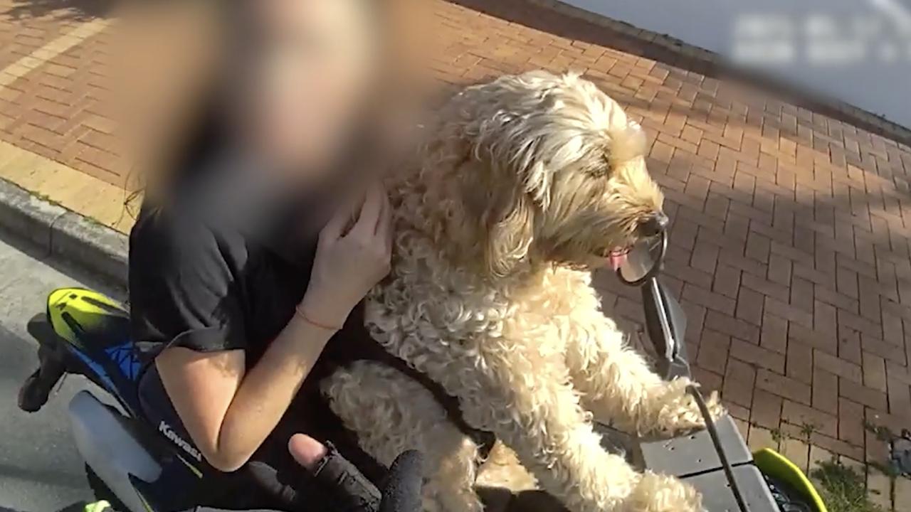 ‘You know you can’t do that’: Woman cops hefty fine for dog on motorbike