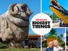 More Aussies travel to see our retro icons