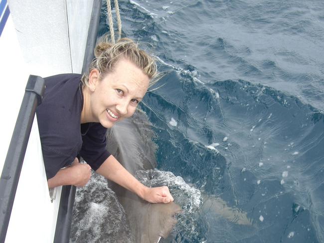 Dr Bonnie Holmes with a 3.1m tiger shark