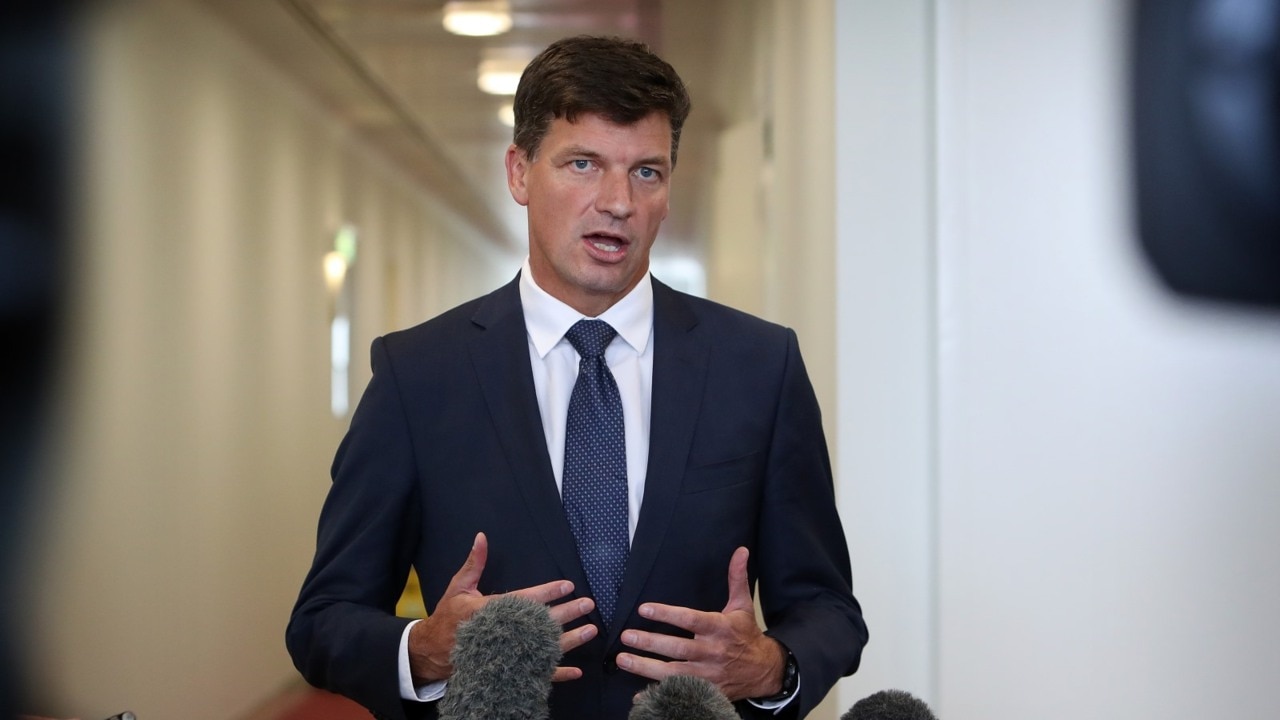 Angus Taylor: ‘grassgate’ Scandal Isn’t Going Away, Inquiry Possible 