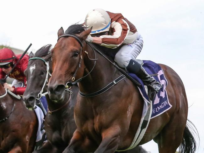 Legarto (NZ) ridden by Michael Dee wins the Australian Guineas at Flemington Racecourse on March 04, 2023 in Flemington, Australia. (Photo by George Sal/Racing Photos via Getty Images)