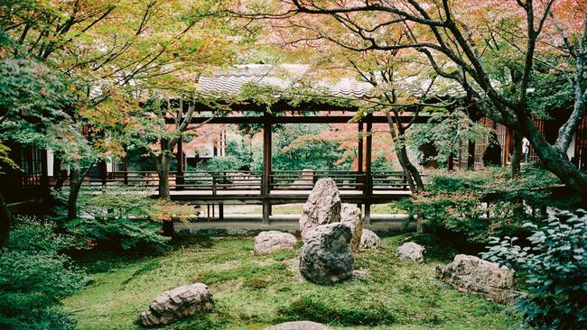 There is so much to learn about home-cooked Japanese ‘soul food’. Picture: Lizzie Mayson