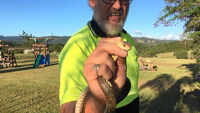 This photo was taken moments after snake catcher William Pledger was bitten by the Eastern brown snake he is still holding. Picture: Contributed