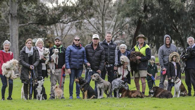 A group of dog owners who normally gather at Smart Street Reserve with their dogs off leads have been banned after complaints to council. Picture: Wayne Taylor