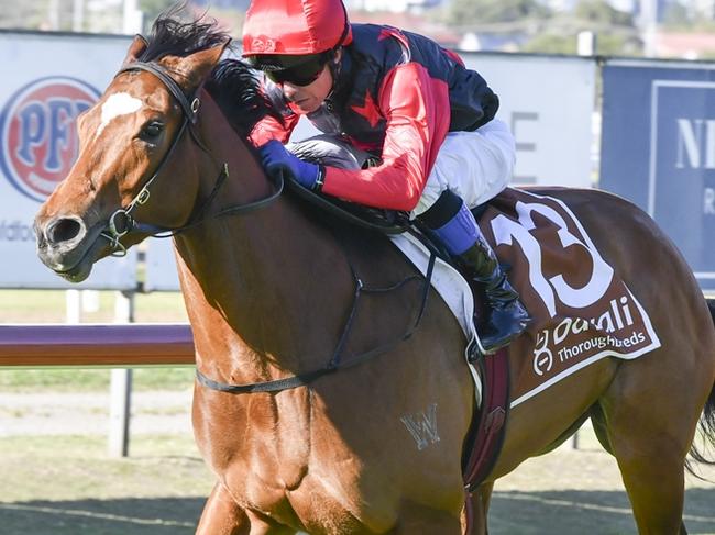 Snow In May, pictured winning at Newcastle on August 29, is one of the key challengers to favourite Autumn Glow in Saturday's Group 1 Flight Stakes at Randwick. Picture: Bradley Photos