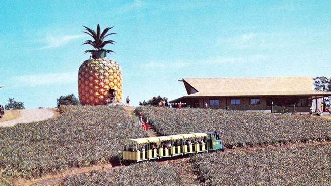 The two-storey 16m-high attraction opened in 1971, the Nutmobile was sold in 2011, Prince Charles and Princess Diana visited in 1983 and it closed in 2010 but was resurrected and continues to operate today.