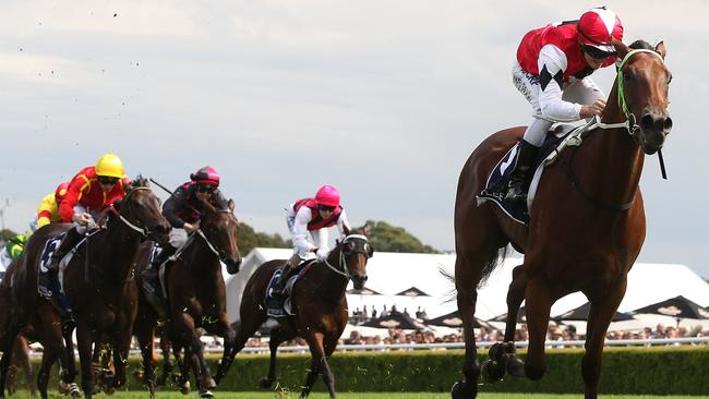 Artlee announces himself as a genuine city runner when he trounces his rivals in the Country Championship Final in 2015. Picture: Getty Images