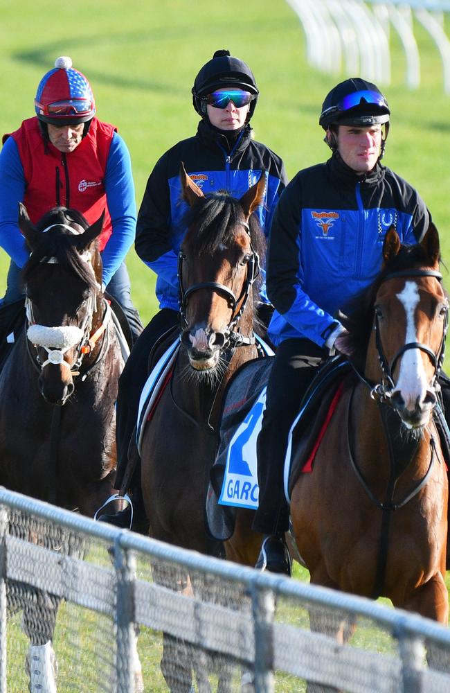 Kaspersky, Red Cardinal and Garcia enjoy a stroll around the Werribee circuit. Picture: Getty Images