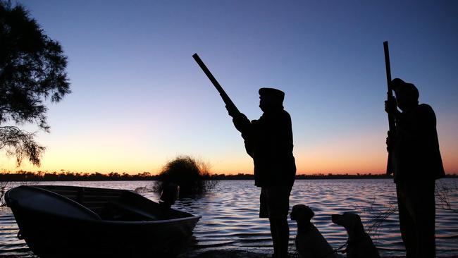 Duck hunters have gained a full 2024 season, with a six bird daily bag limit. Picture: Yuri Kouzmin