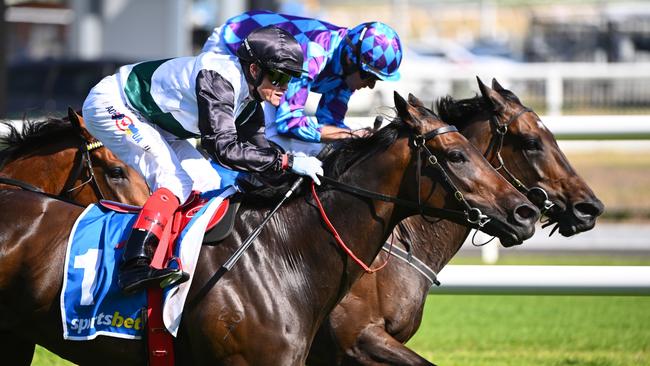 Mr Brightside (left) and Pride Of Jenni clash again in the Group 1 Memsie Stakes on Saturday. Picture: Vince Caligiuri/Getty Images