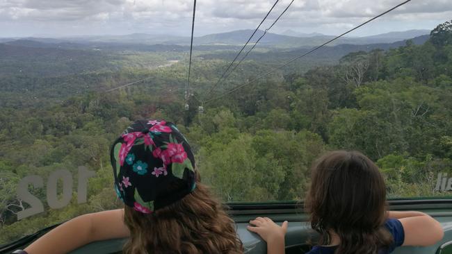 There is no better way to introduce children to the natural beauty of the rainforest. Picture: Keith Woods