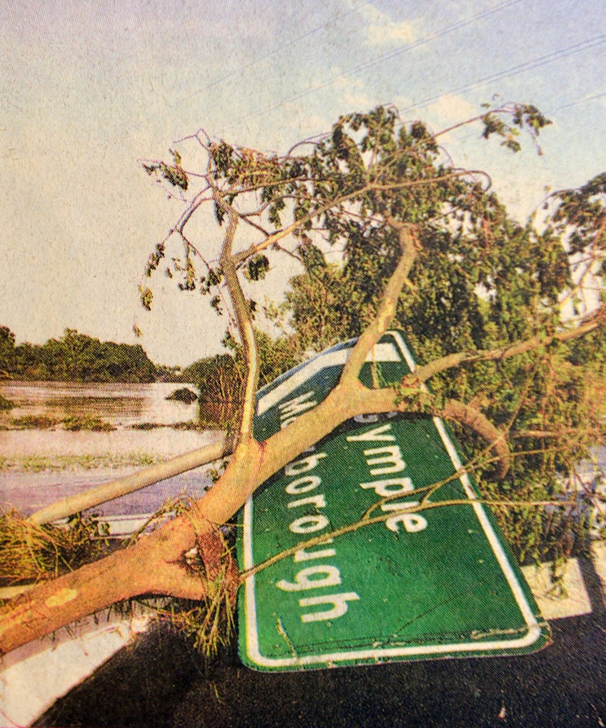 1999 FLOOD where to go, road direction signs and trees tangled together near Normandy Bridge overpass as the water receded on Thursday 11th of February. Picture: Renee Albrecht