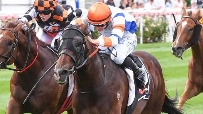 Veight ridden by Damian Lane wins the Sharp EIT Solutions Australia Stakes at Moonee Valley Racecourse on January 27, 2024 in Moonee Ponds, Australia. (Photo by Brett Holburt/Racing Photos via Getty Images)