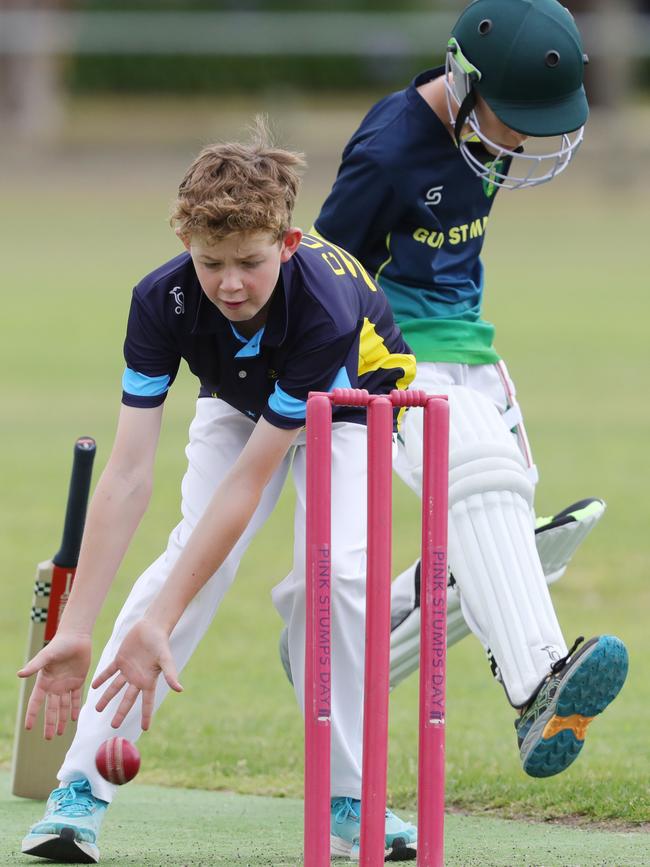 Cricket Junior Country Week match between GCA5 versus Colac3 Picture: Mark Wilson