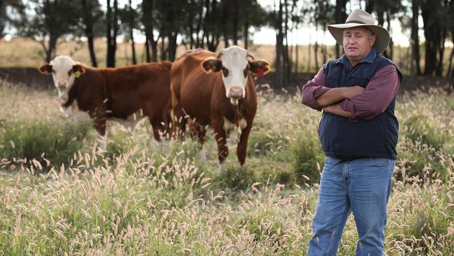 Cattle farmer Dale Stiller is against tighter tree-clearing legislation.