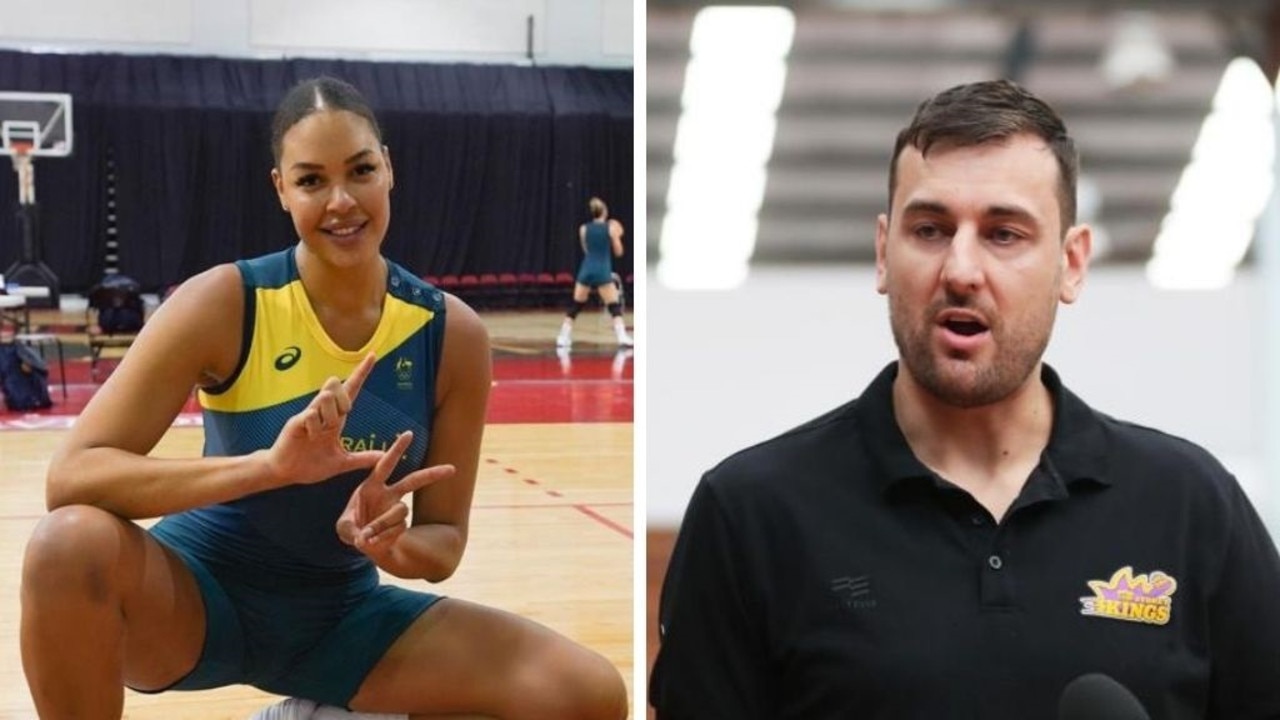 Andrew Bogut took aim at Liz Cambage.