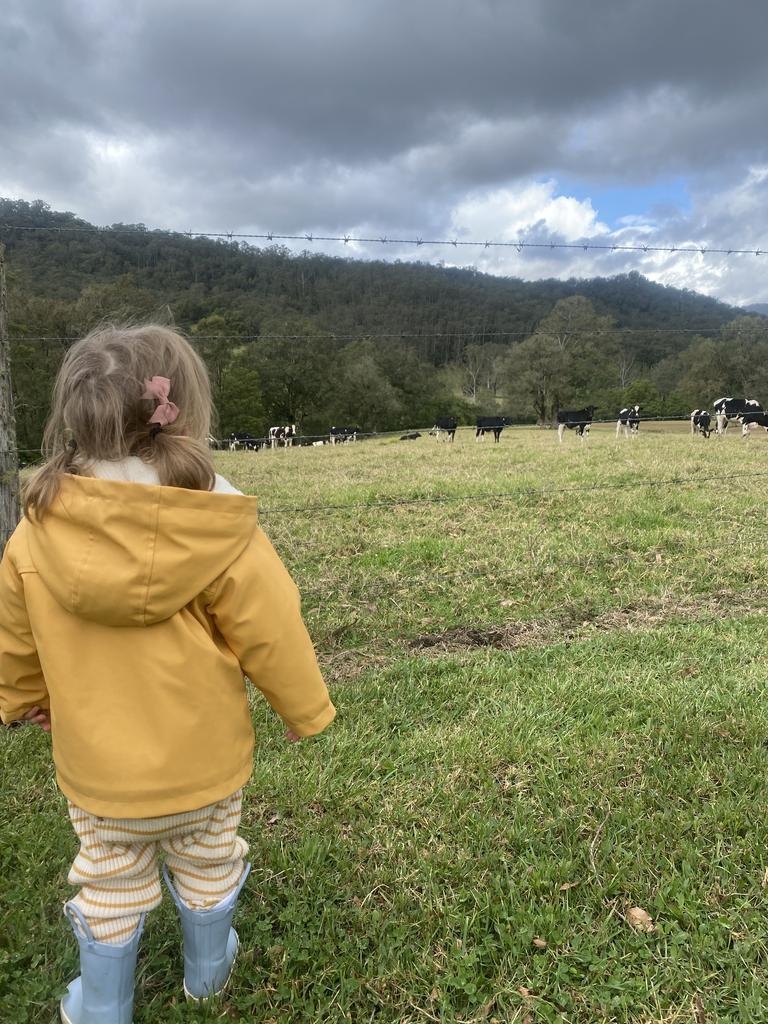 The property is perfect for a group of friends or family, with friendly cows offering the perfect entertainment for the kids.