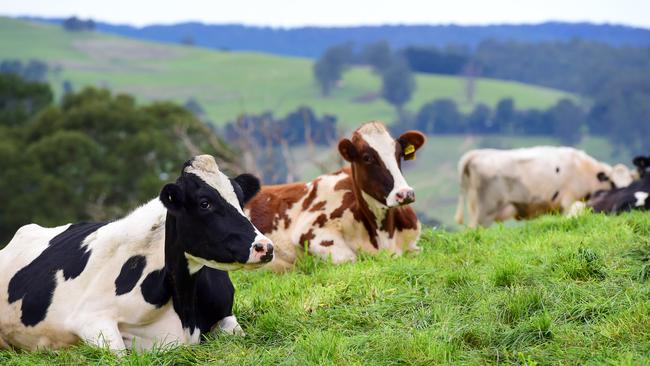 The long-term average in Victorian dairy farmers leaving the sector hovers around four per cent.