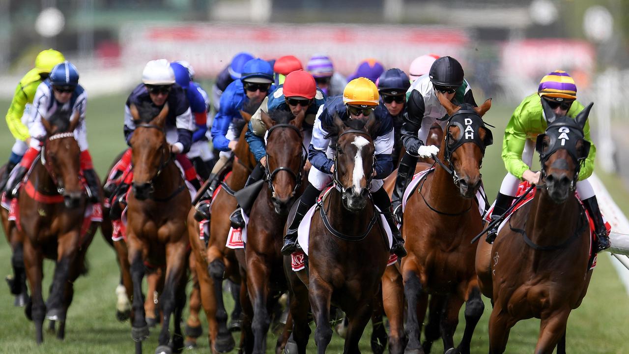 Why your horse can — and can’t - win this year’s Melbourne Cup.