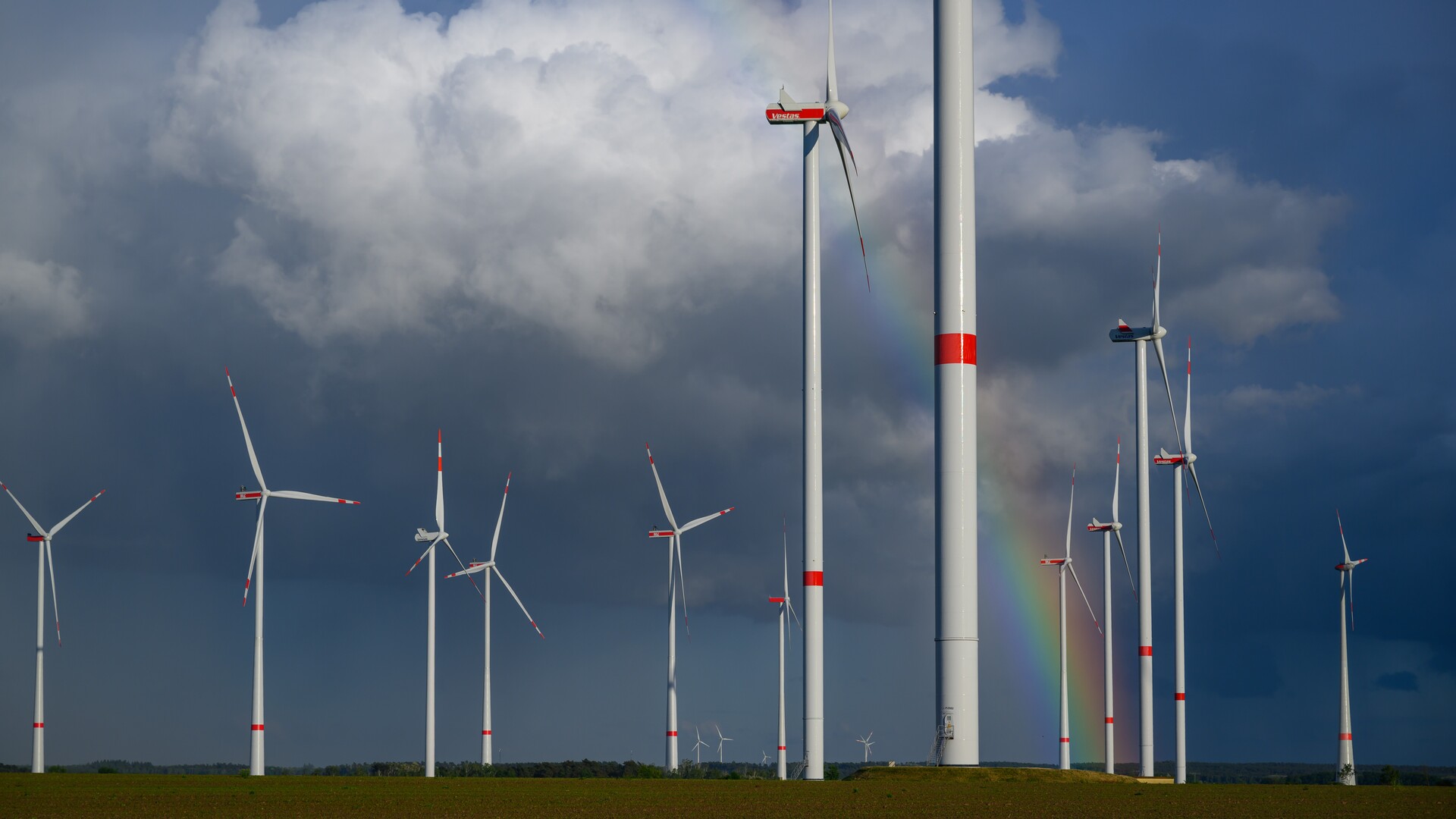 ‘It boggles the mind’: Government spends large amount on renewables only for programs to be cut