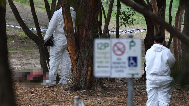 A forensic officer examines a body found near a playground at Buffalo Creek Reserve in Hunters Hill. Picture: AAP