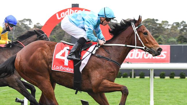 Laming also hopes Cecil Street Lad can be a player during the spring. Picture: Racing Photos via Getty Images