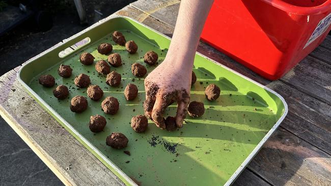 Seed bombs are a great way to get stuck in to the garden.