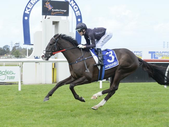 The Mitch Beer-trained Brazil wins at Kembla on October 12. Picture: Bradley Photos