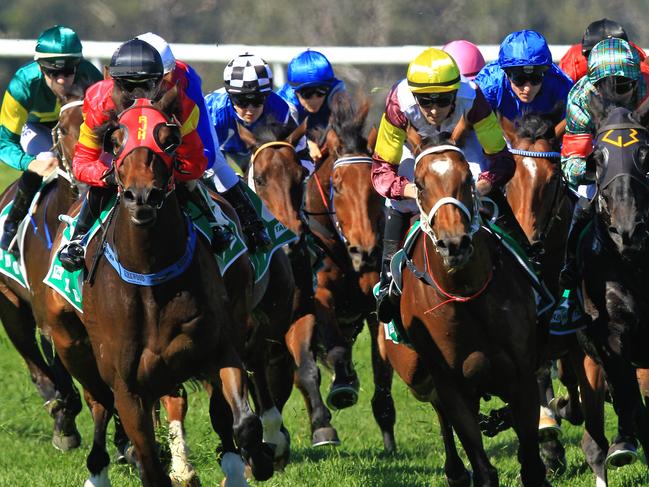 Loving home ridden by Tye Angland  (yellow cap, maroon with yellow armbands) wins race 1 during Scone  Races located in the Upper Hunter Region of NSW. The Bend . Pic Jenny Evans