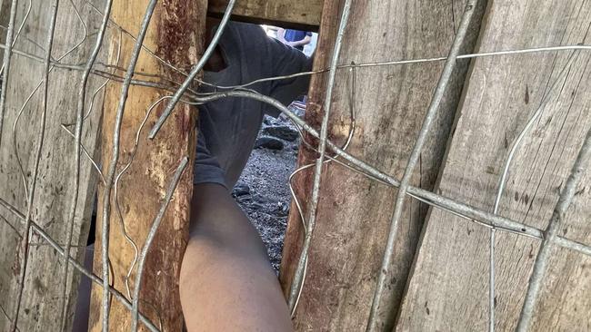 The dogs allegedly launched their attack after tearing palings from the fence. Picture supplied.