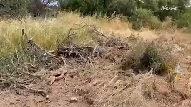 Fatal crash scene at Kadina