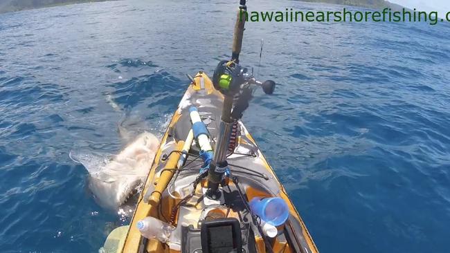 A lucky fisherman has recounted his hair-raising encounter with a massive sea predator while kayaking in Hawaii. Picture: Hawaii Near Shore Fishing