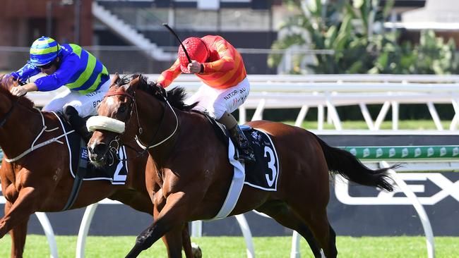 Apache Chase wins the Fred Best Classic at Eagle Farm. Picture: Grant Peters–Trackside Photography