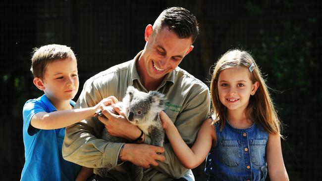 Twins Giselle and Dominic Percy 7, pat Archer the koala which senior keeper Chad Staples holds in March 2016. Picture: Toby Zerna