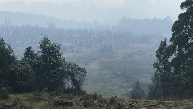 Burnt bushland at the top of Braeside Road near Franklin in the Huon Valley this morning. PICTURE: RICHARD JUPE 