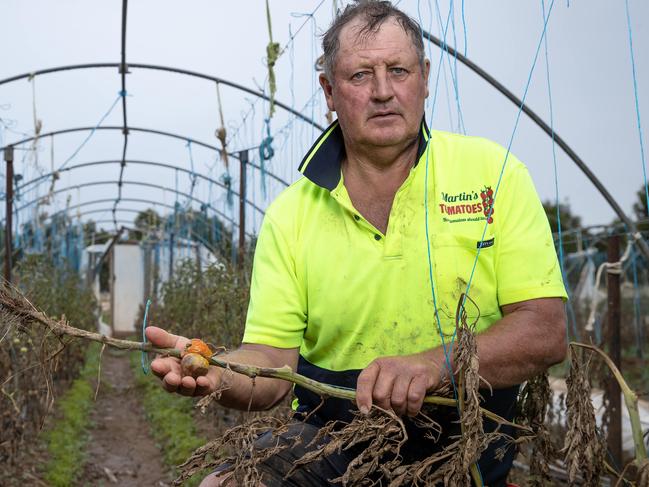 Tomato farmer Jeff Martin, 0437 383 442, from Bridgewater on the Loddon river after a flood devastated his tomato green house crop. Jeff pictured with BlazeAid Bridgewater Camp Coordinator Graeme Allen (in hat), 0477 488 434. Picture: Jason Edwards