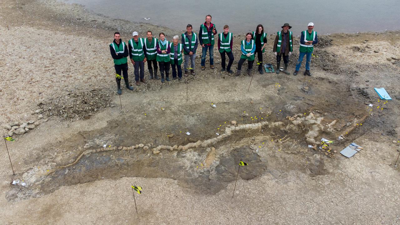 Palaeontologists and volunteers working on the ichthyosaur skeleton in August 2021. Picture: Matthew Power Photography/supplied