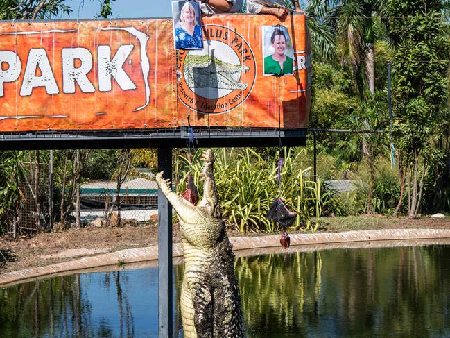 Speckles the psychic croc predicts the 2024 Northern Territory election will swing to Labor leader Eva Lawler. Picture: Pema Tamang Pakhrin