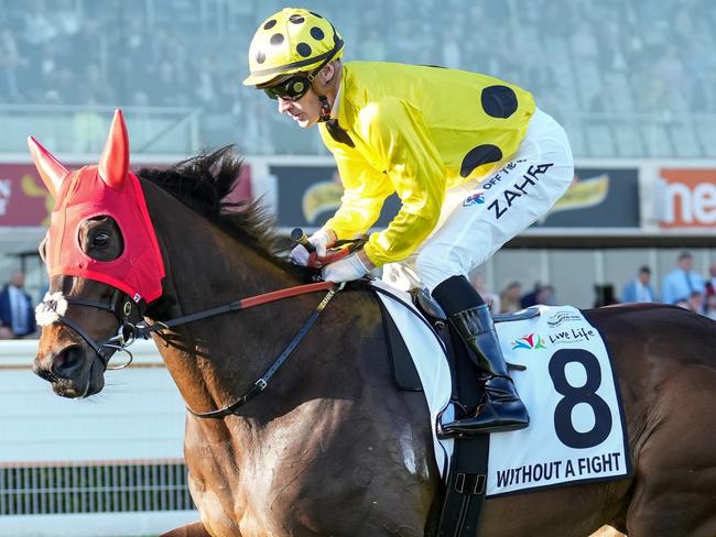 Without A Fight (IRE) on the way to the barriers prior to the running of the Live Life Foundation Underwood Stakes at Caulfield Racecourse on September 23, 2023 in Caulfield, Australia. (Photo by Scott Barbour/Racing Photos via Getty Images)