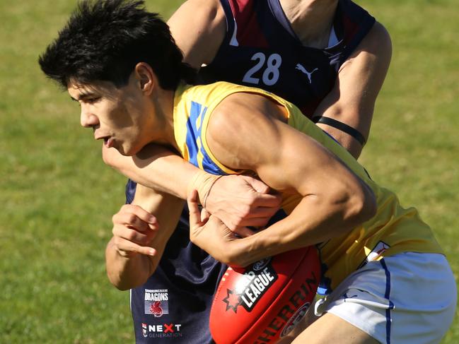 NAB League footy: Sandringham Dragons v Western Jets.32 Paul Curtis with the ball for the Western Jets.Picture: Stuart Milligan