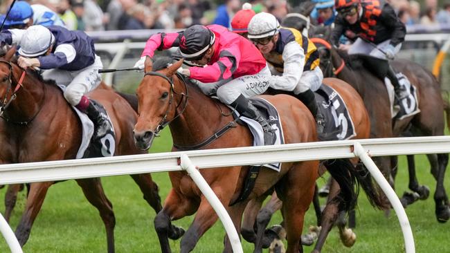 Just Fine received a half-kilogram weight penalty for the Melbourne Cup after his win in the Bart Cummings at Flemington. Picture: Racing Photos via Getty Images