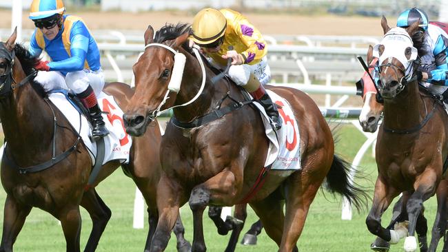 Perfect Dare wins at Eagle Farm. Picture: Grant Peters, Trackside Photography