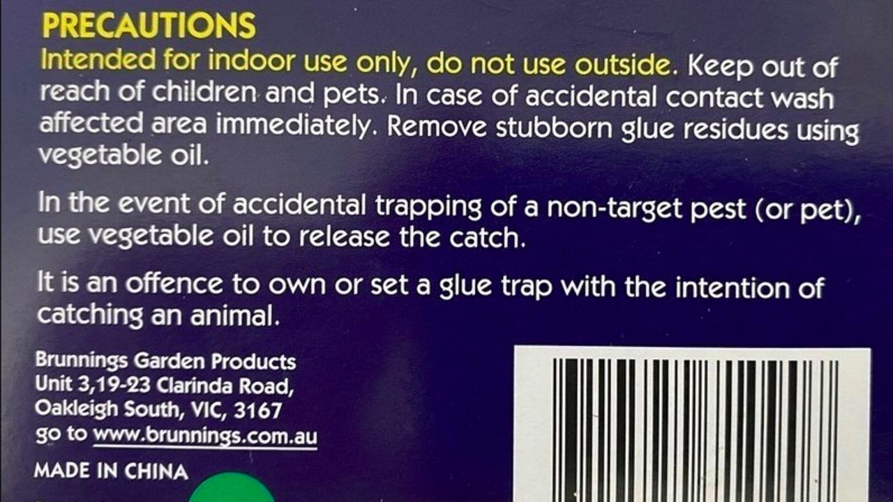 “Glue traps cause horrific pain and suffering to any animal that comes in contact with them,” the petition reads. Picture: change.org